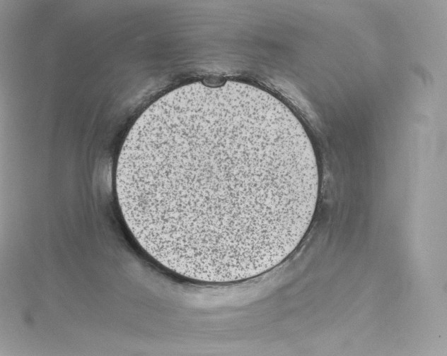 X0000114520021200911161325