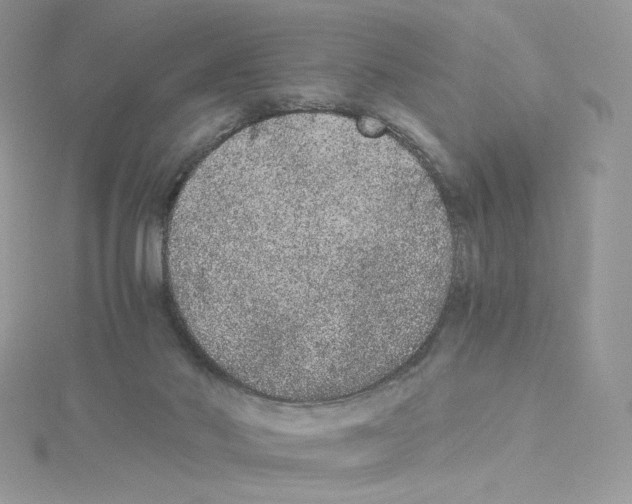 X0000114520022200911161325