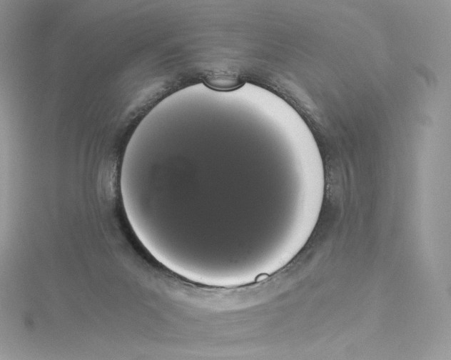 X0000114520023200911161325