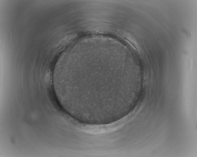 X0000114520029200911161325