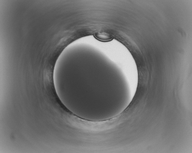 X0000114520035200911161325