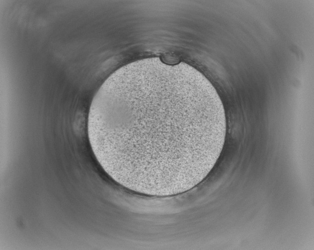 X0000114520036200911161325