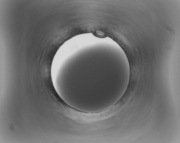 X0000114520039200911161325