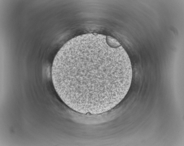 X0000114520042200911161325