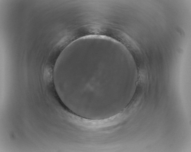 X0000114520043200911161325