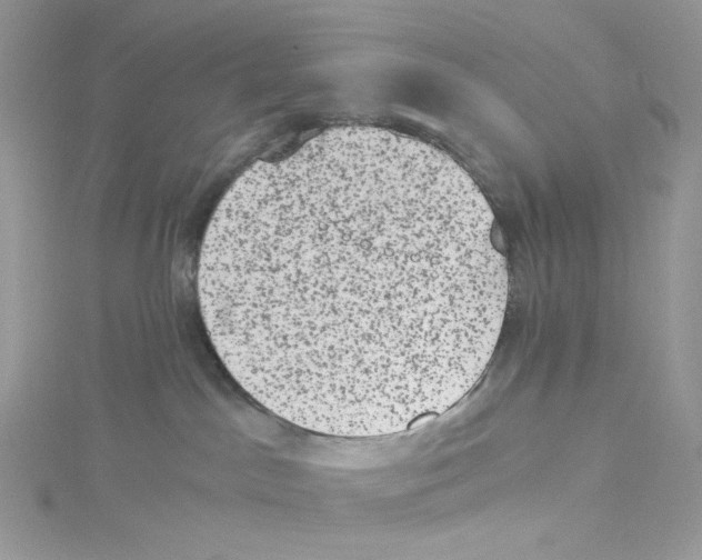 X0000114520045200911161325