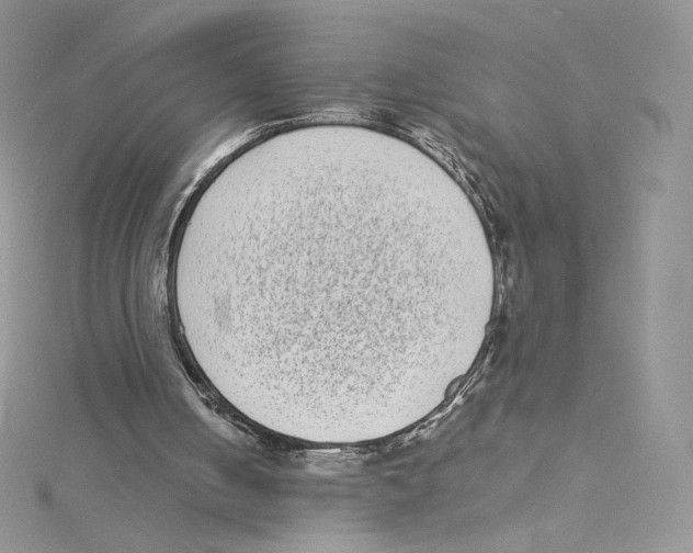 X0000114520050200911161325