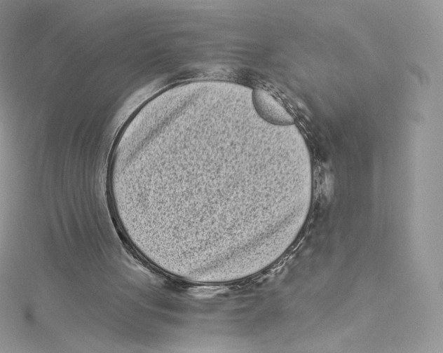 X0000114520051200911161325