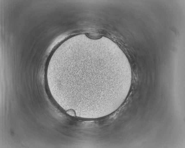 X0000114520054200911161325