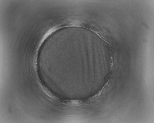 X0000114520056200911161325