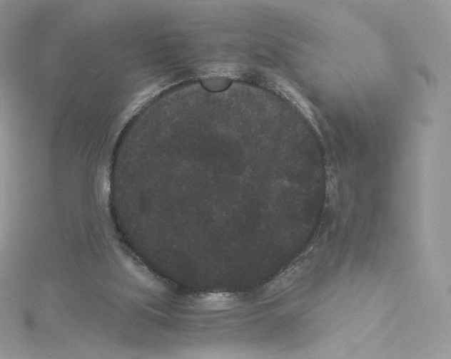 X0000114520059200911161325