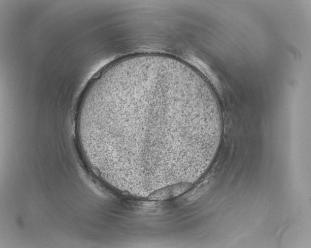 X0000114520060200911161325