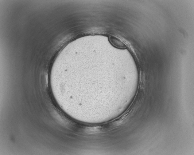 X0000114520061200911161325