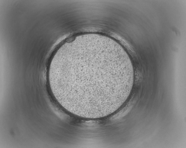 X0000114520064200911161325