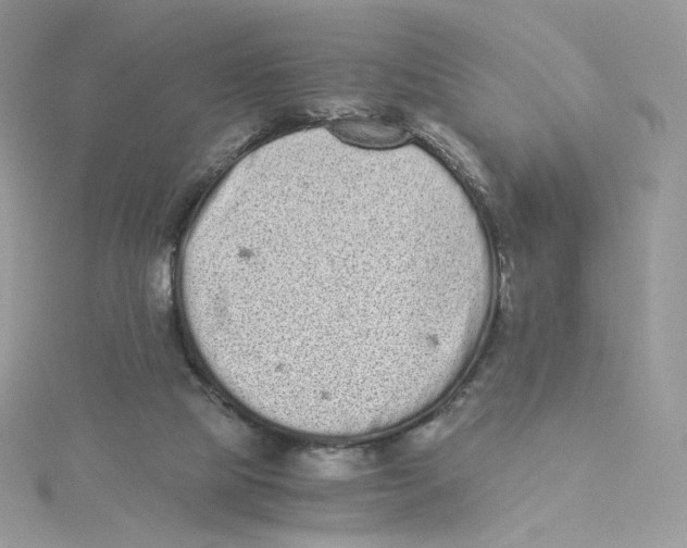 X0000114520065200911161325