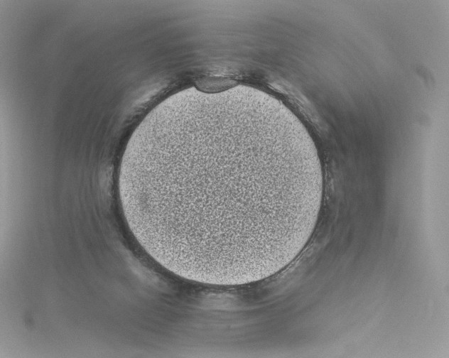 X0000114520066200911161325