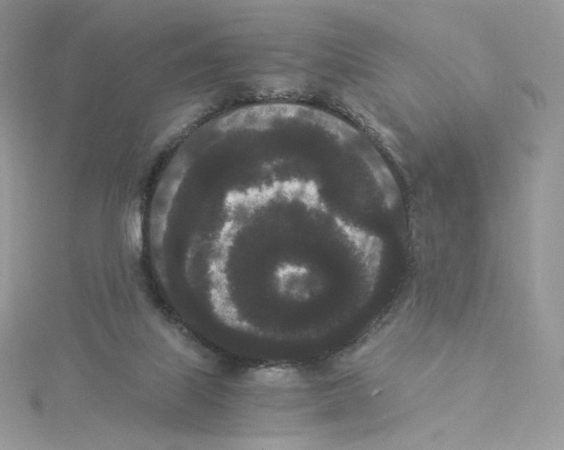 X0000114520067200911161325