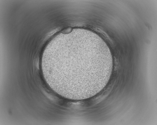 X0000114520068200911161325