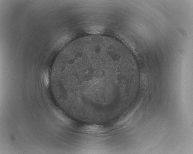 X0000114520069200911161325