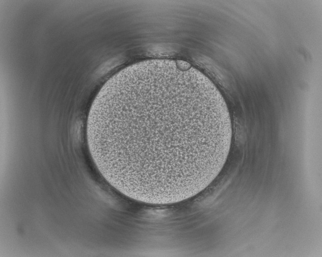 X0000114520071200911161325