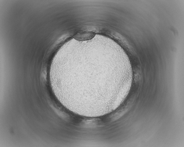 X0000114520072200911161325