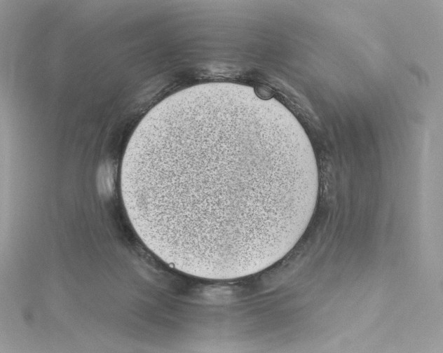 X0000114520075200911161325