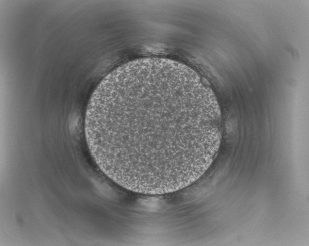 X0000114520079200911161325