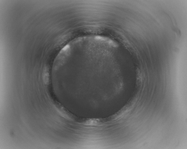 X0000114520080200911161325