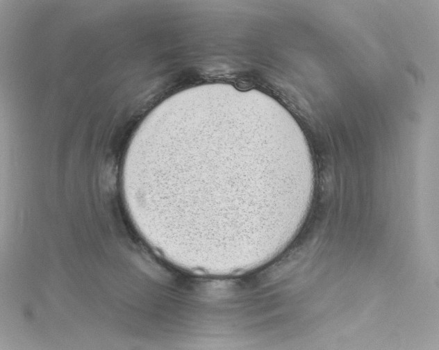 X0000114520081200911161325