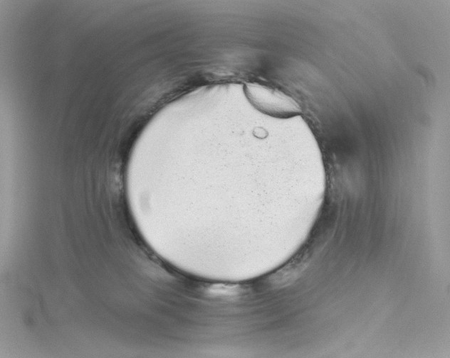 X0000114520085200911161325