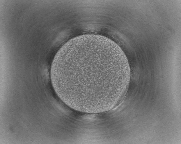 X0000114520086200911161325