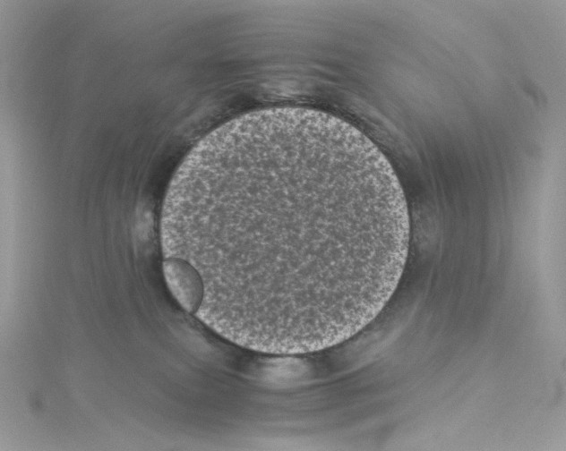 X0000114520087200911161325