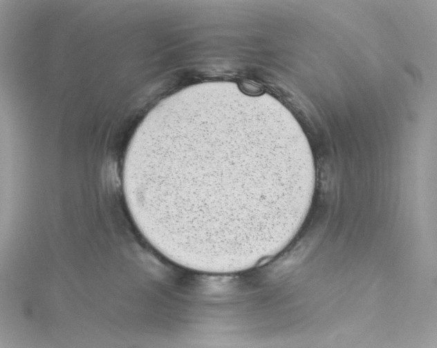 X0000114520089200911161325