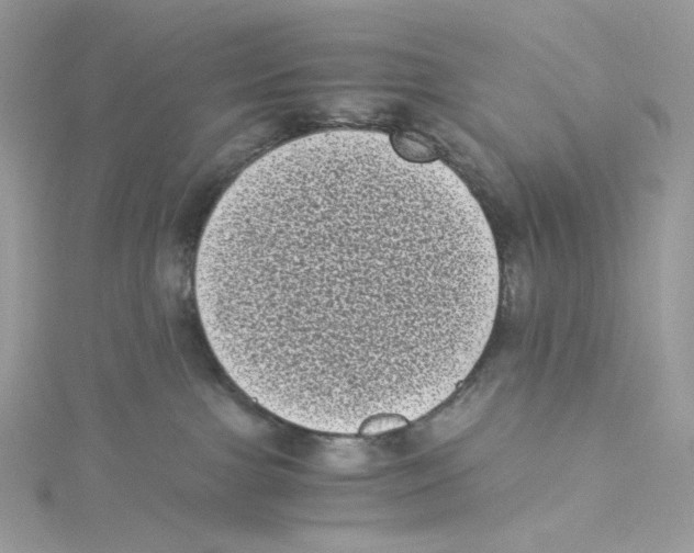 X0000114520091200911161325