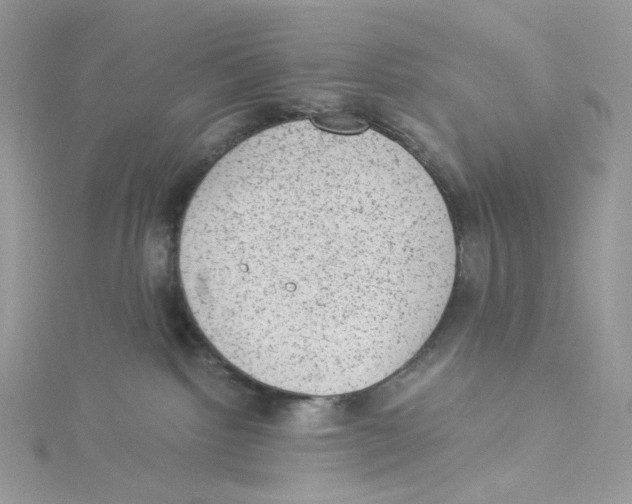 X0000114520092200911161325