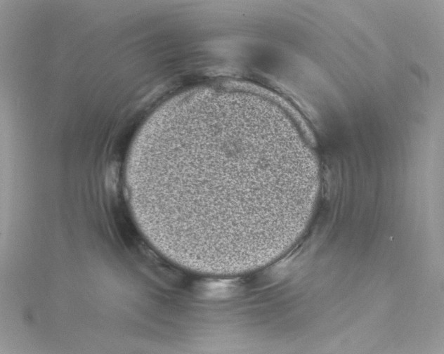 X0000114520093200911161325