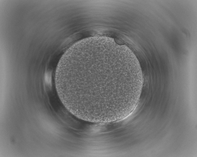 X0000114520094200911161325