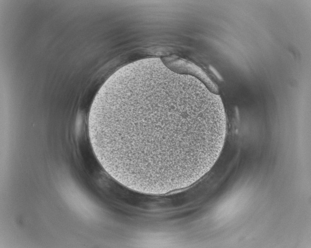 X0000114520095200911161325