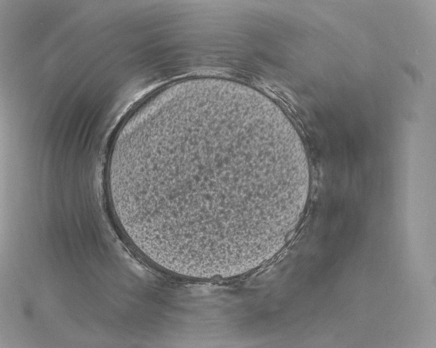 X0000114520098200911161324