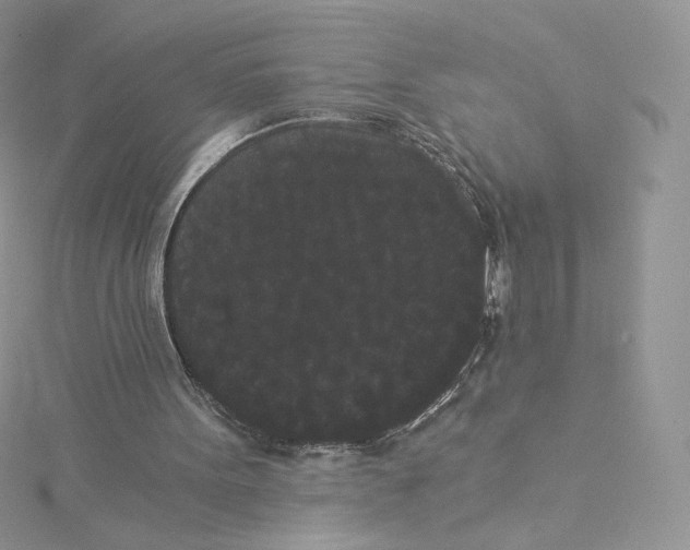 X0000114520099200911161324