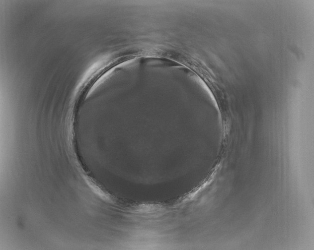 X0000114520101200911161324