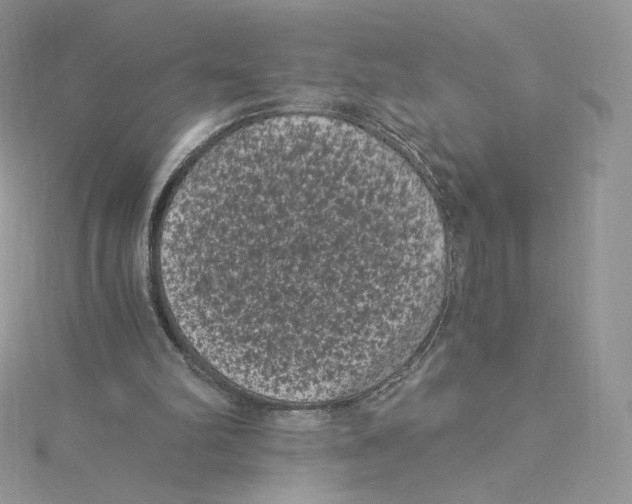 X0000114520102200911161324