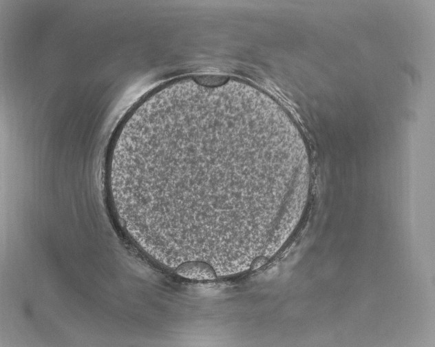 X0000114520103200911161324