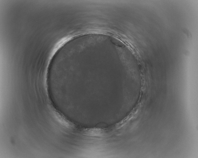 X0000114520104200911161324