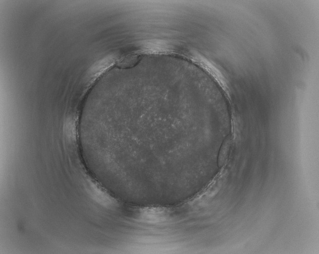 X0000114520105200911161324