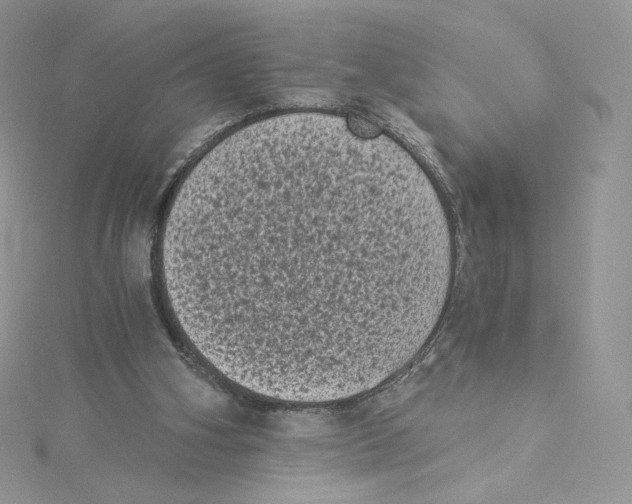 X0000114520106200911161324