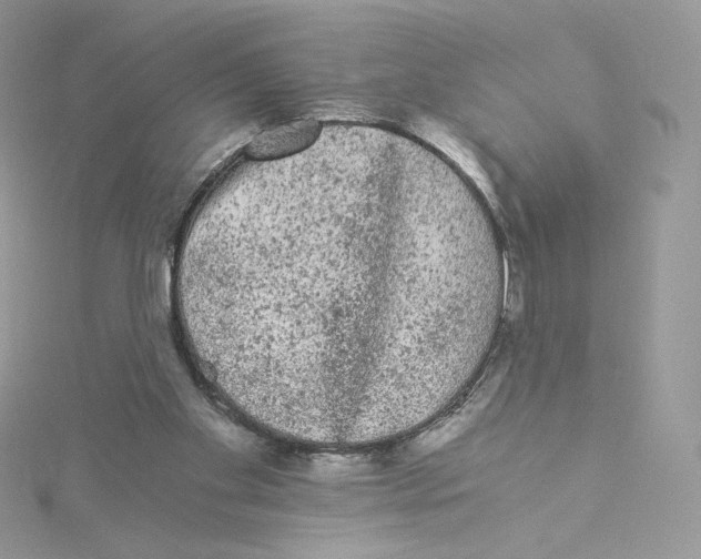 X0000114520109200911161324