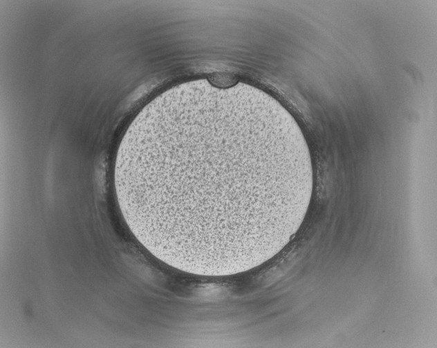 X0000114520111200911161324