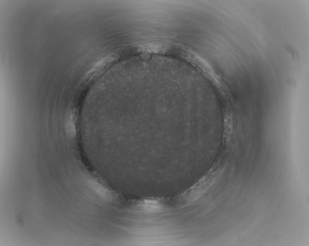 X0000114520114200911161324