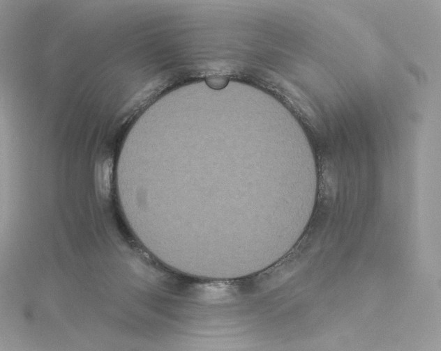 X0000114520118200911161324